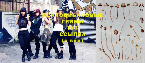 гашик Верхнеуральск