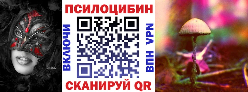 где купить   Ишимбай  Галлюциногенные грибы Psilocybine cubensis 